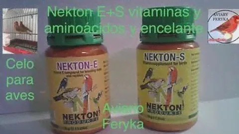 Como encelar a los canarios con Nekton E+S