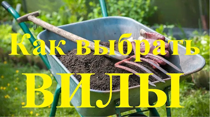#106 Переехали в село ! Как выбрать вилы.