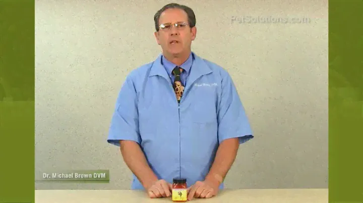 PetSolutions: Nekton E