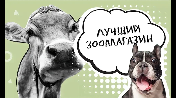 Лучший зоомагазин . Ветаптека . Краснодарзооветснаб - КЗВС
