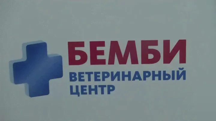 Ветаптека Бемби.  Попоны, средства для шерсти и препараты от гельминтов.  май 2020 года.